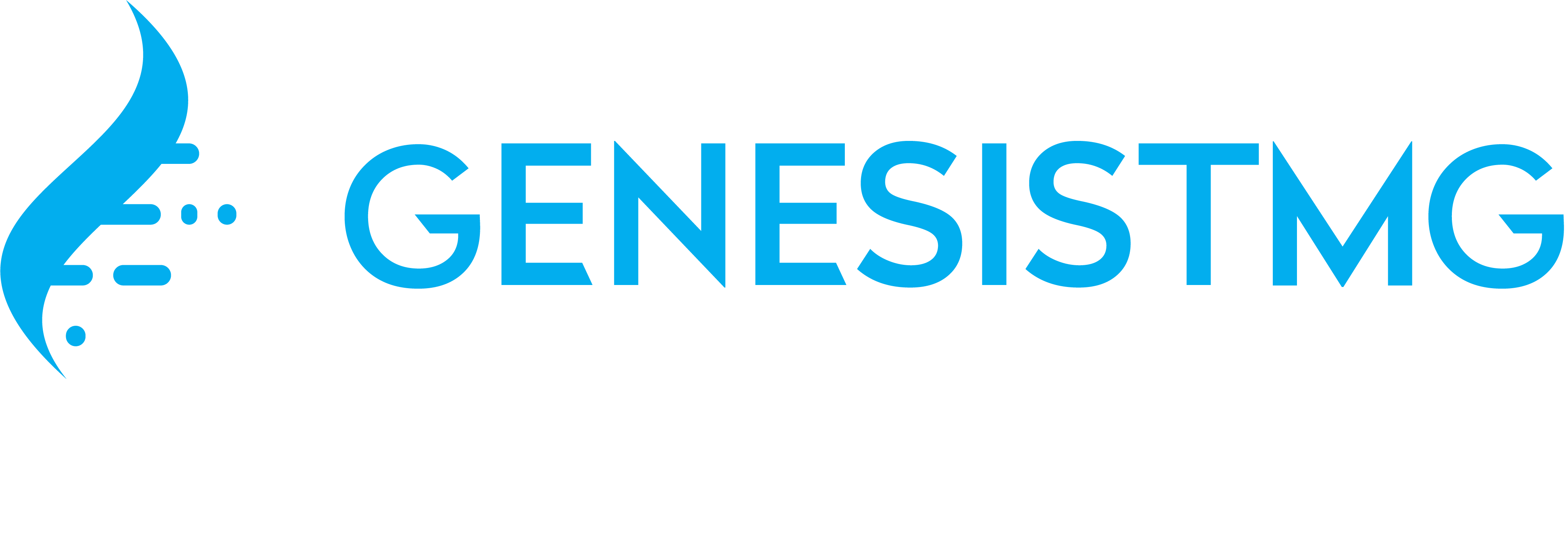 GenesisTMG.Foundation